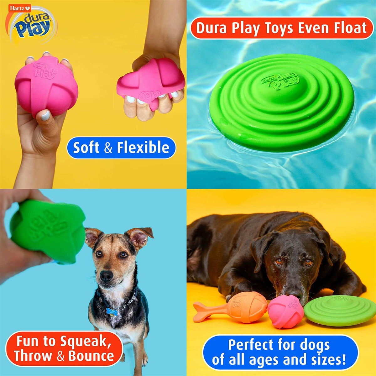 Squeaky Latex Dog Toy B27174