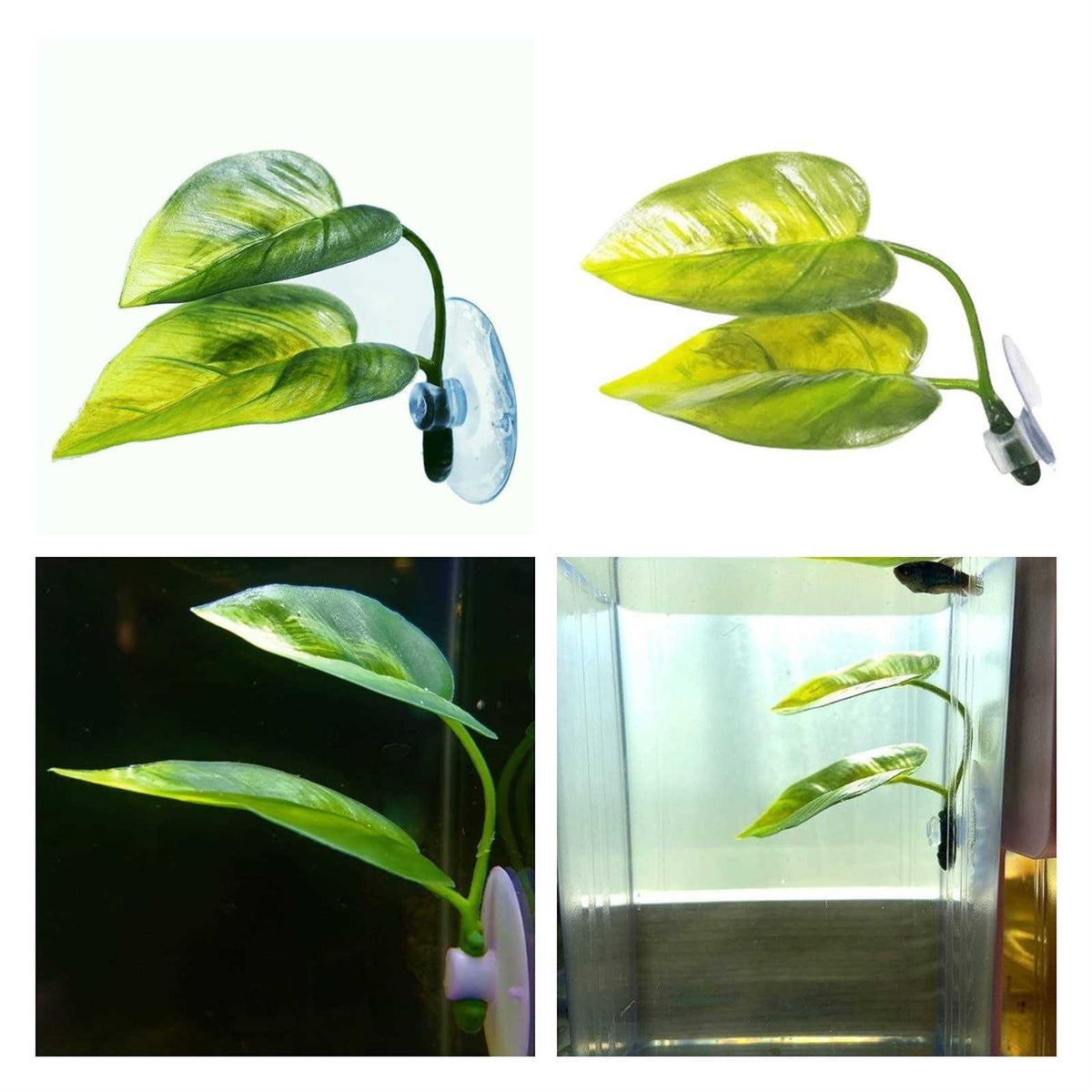 Betta Fish Leaf Pad Plastic Suction Cup T855