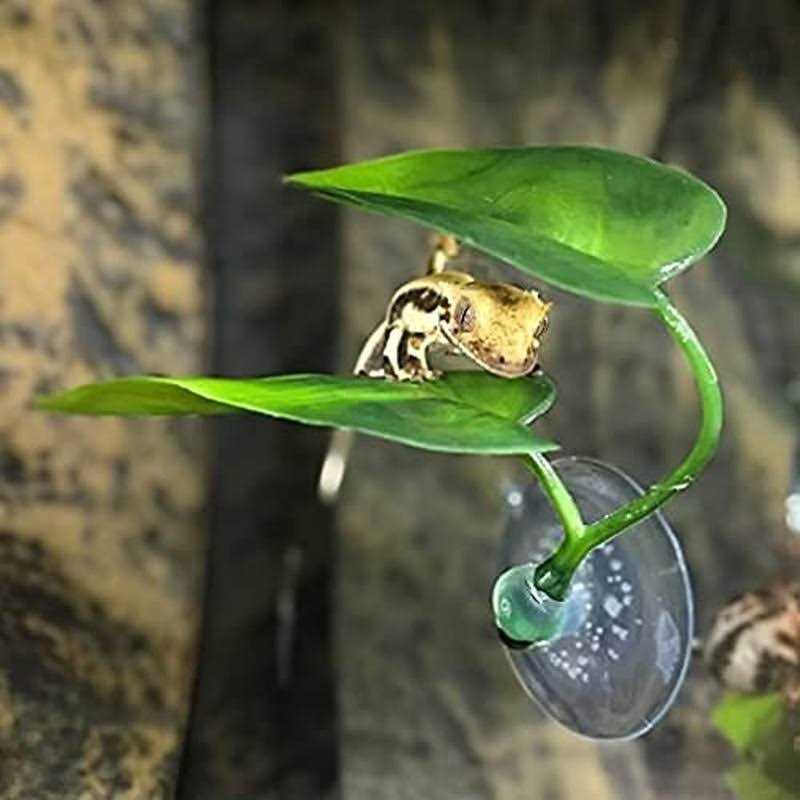 Betta Fish Leaf Pad Plastic Suction Cup T855