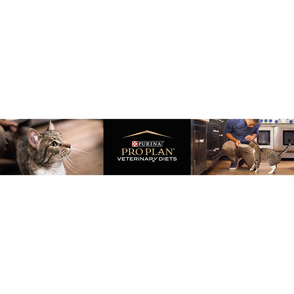 Purina Pro Plan Veterinary Diets DM Dietetic Management Feline Formula Dry Cat Food T281