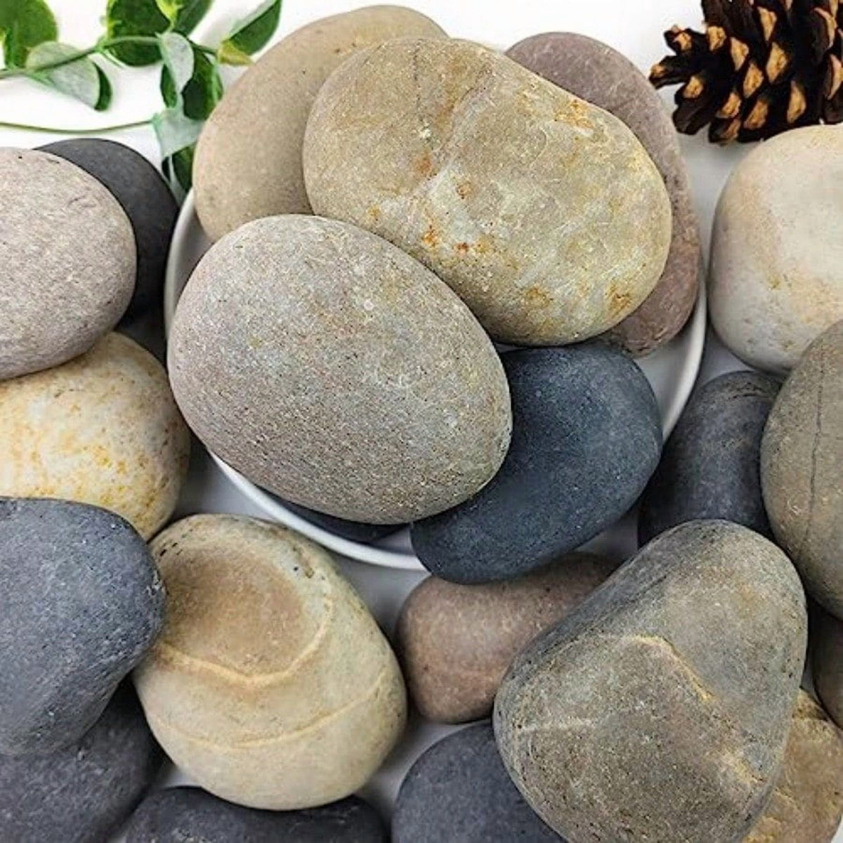 40lbs Natural River Rocks Smooth Stones W881