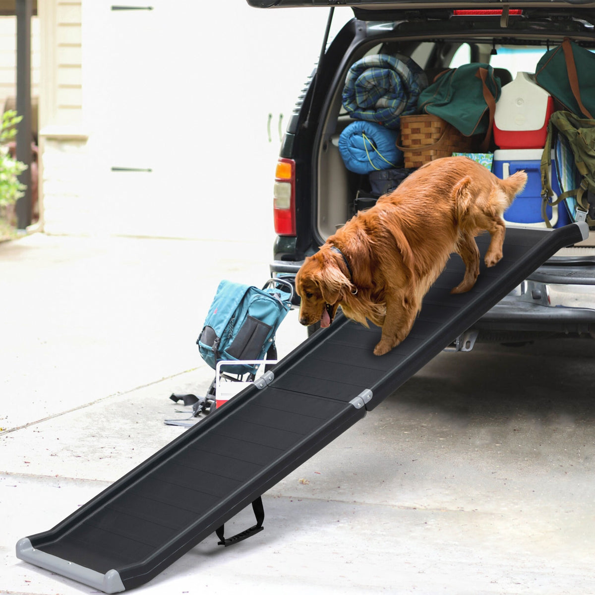 Black Pet Ramp Z411301