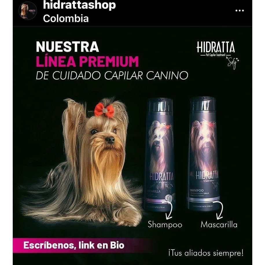 Hydrating Shampoo + Mask I3691
