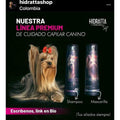Hydrating Shampoo + Mask I3691