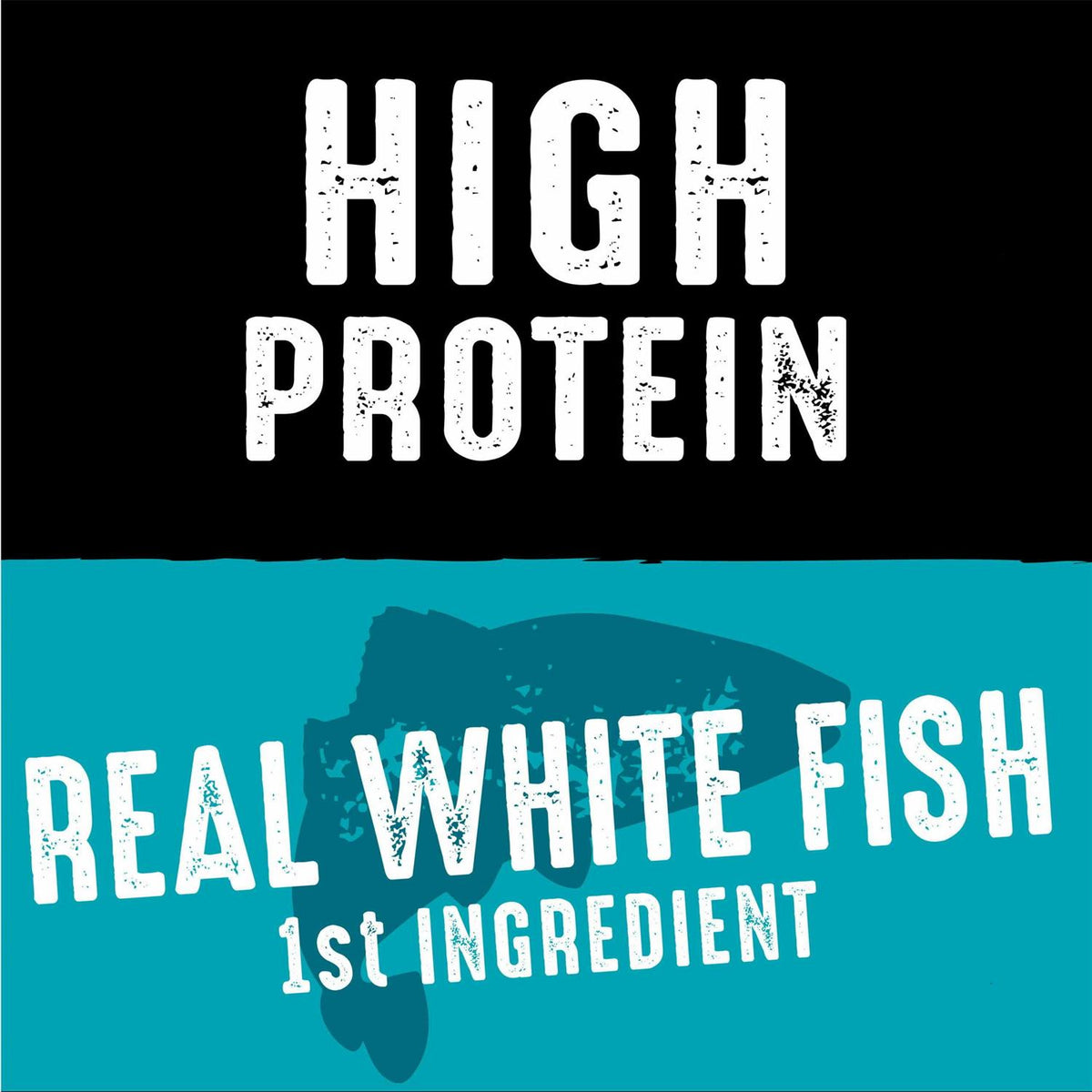 Grain Free Adult Dry Dog Food with Protein C775388