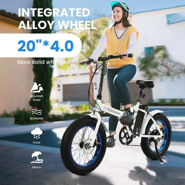 Fat Tire Electric Bike 20" Folding Bicycle 500W 36V Pedal Assist Electric Bicycle C5312