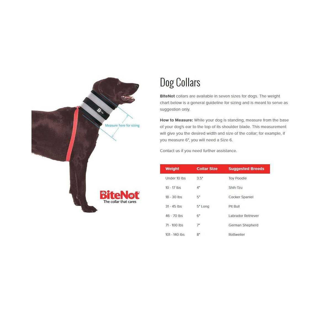 Pet Collar T642528