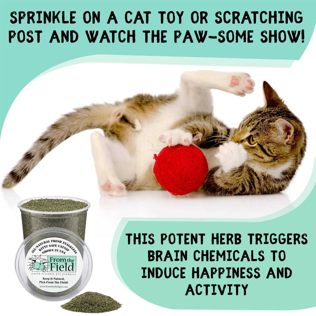 Catnip Pet Supplies J988746