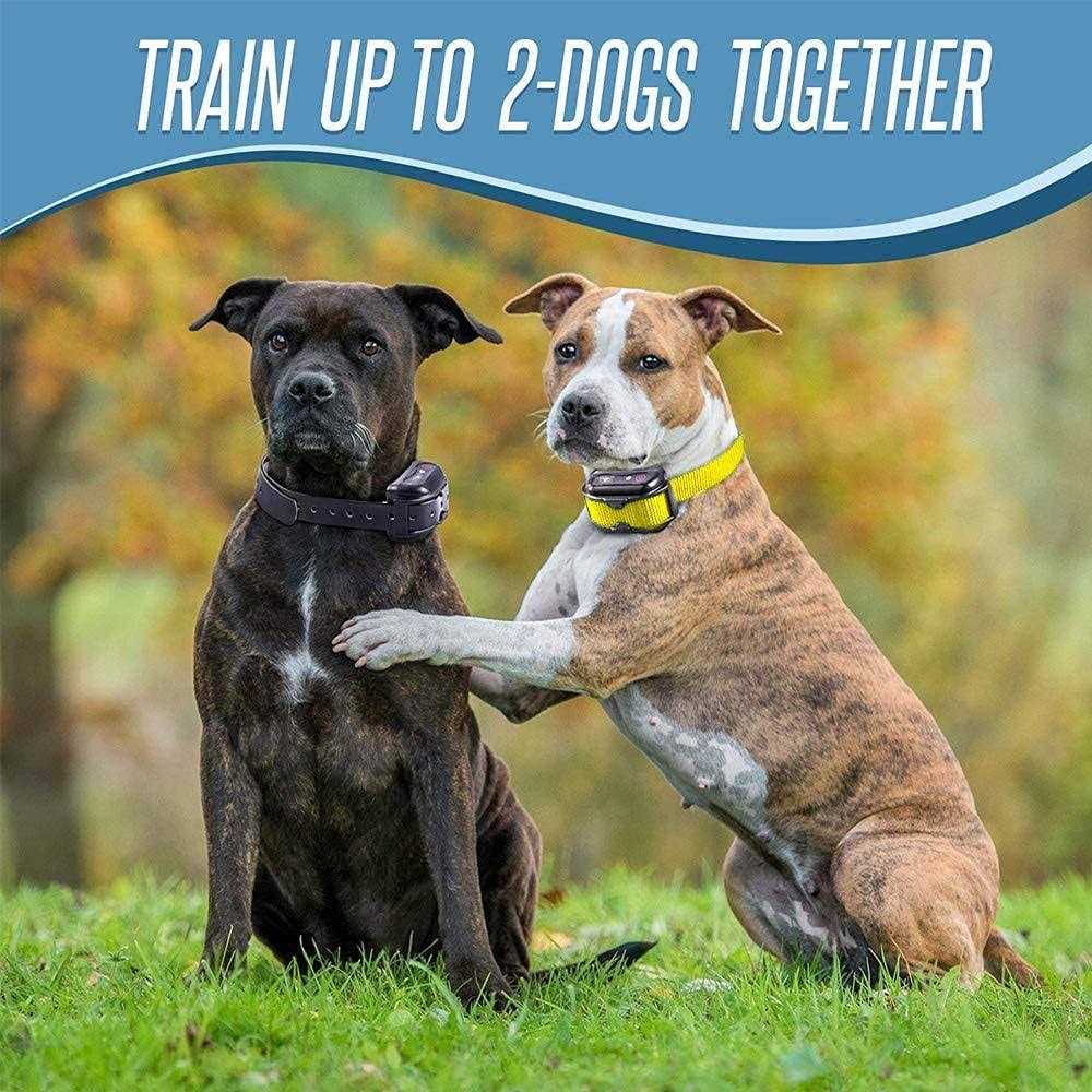 Dog Training Shock Collar with Remote G3684