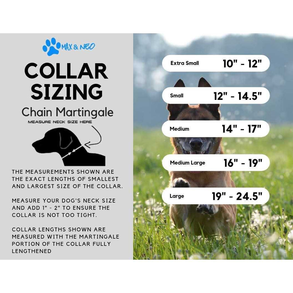 Stainless Steel Chain Martingale Collar G8428
