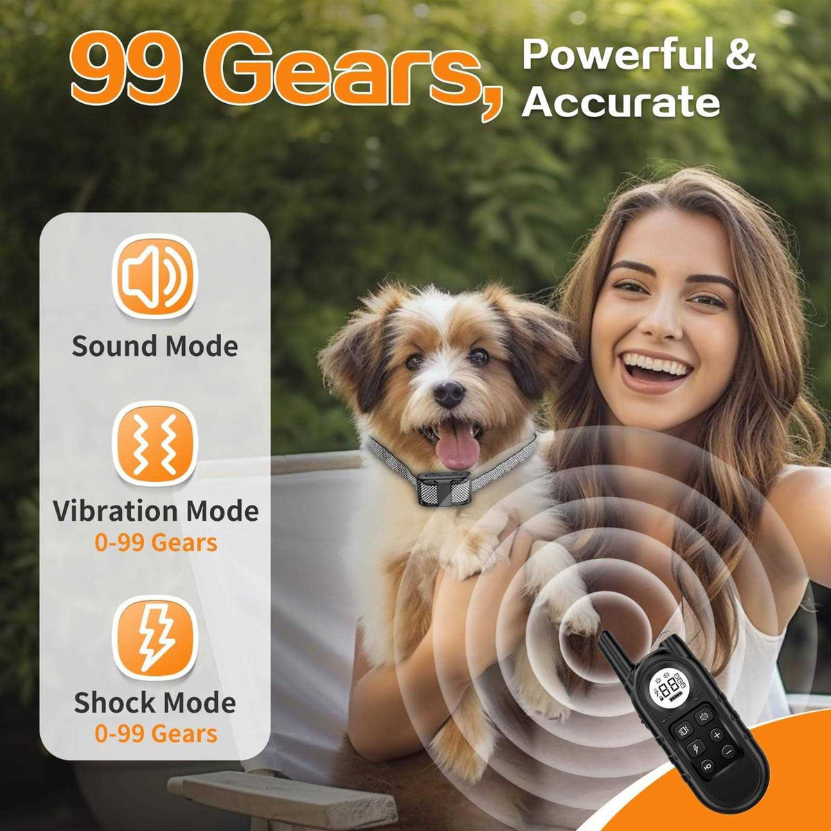 Dog Training Collar with Remote V738