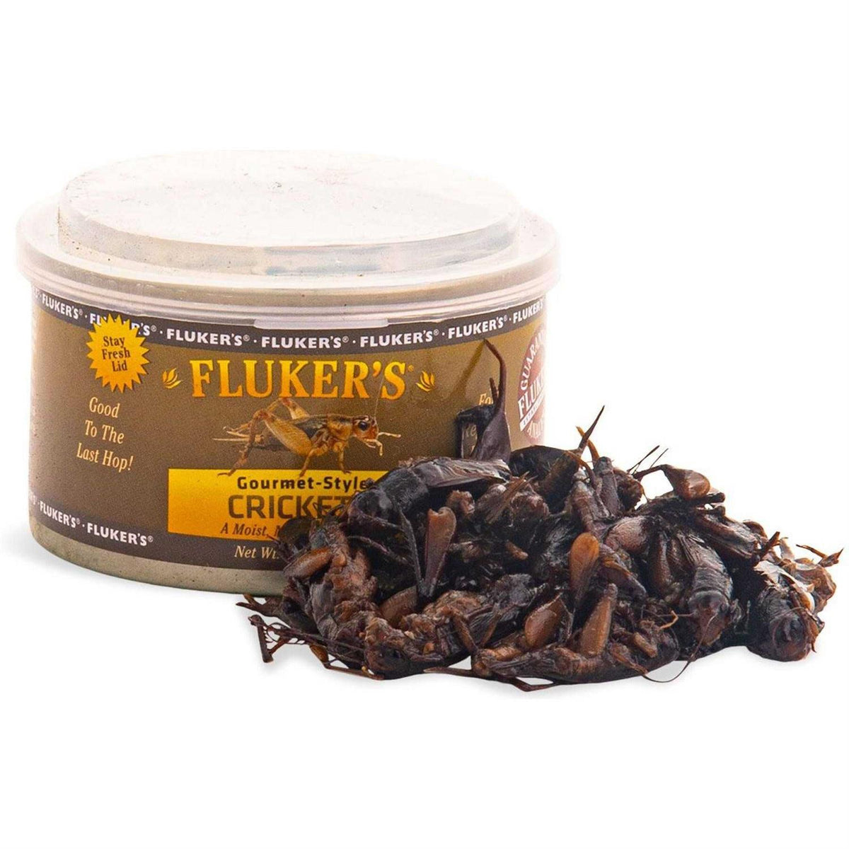 Canned Crickets R899058