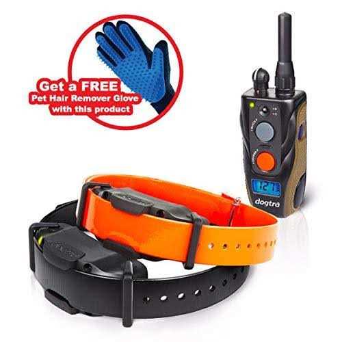 2 Dog Remote Training Collar R836193