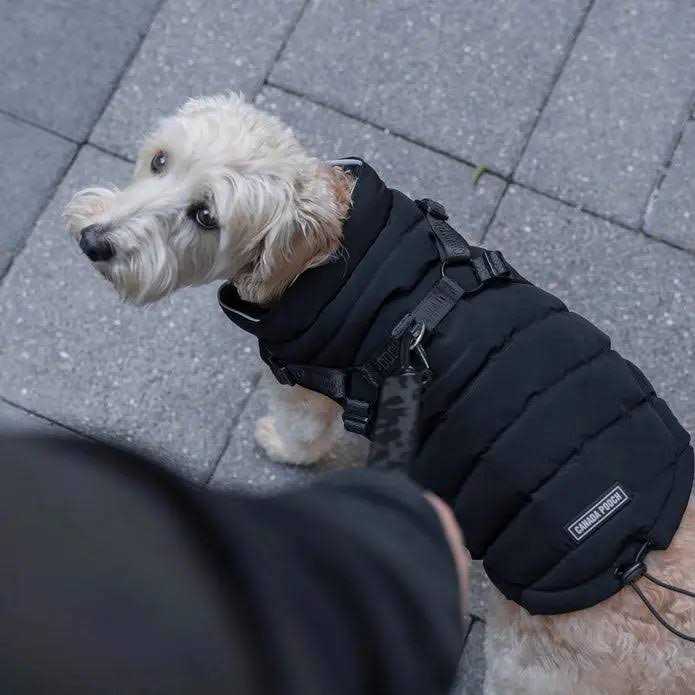 Black Puffer Harness T51131