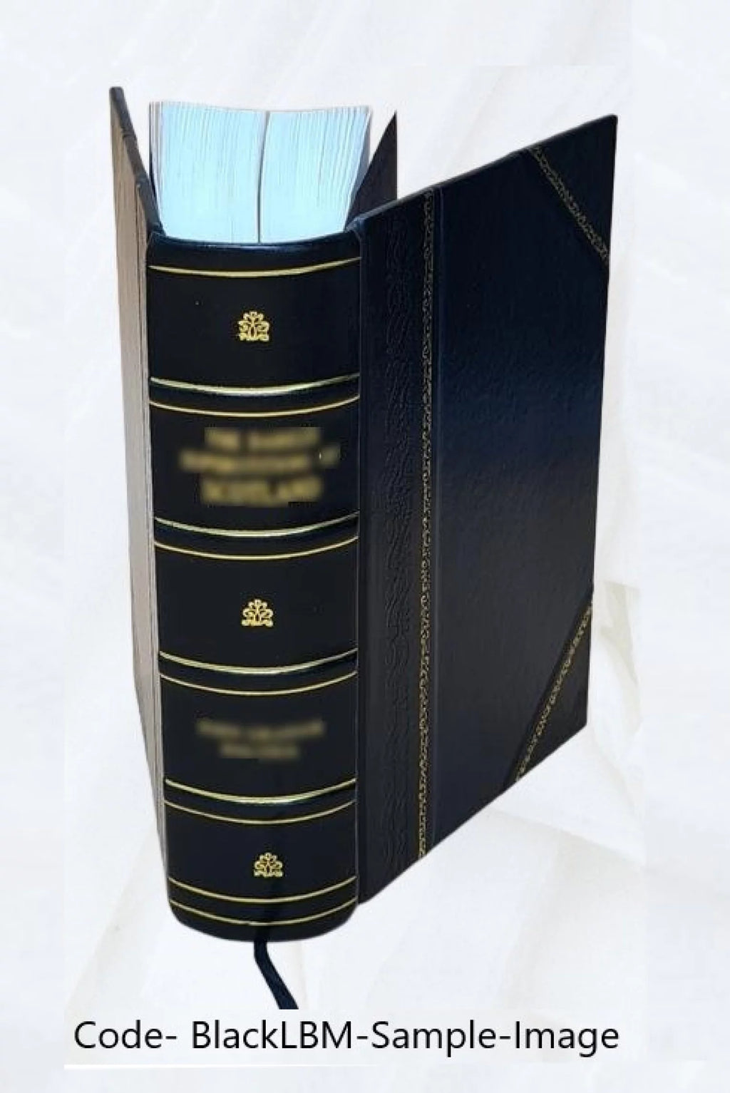 Leather Bound Book U2176