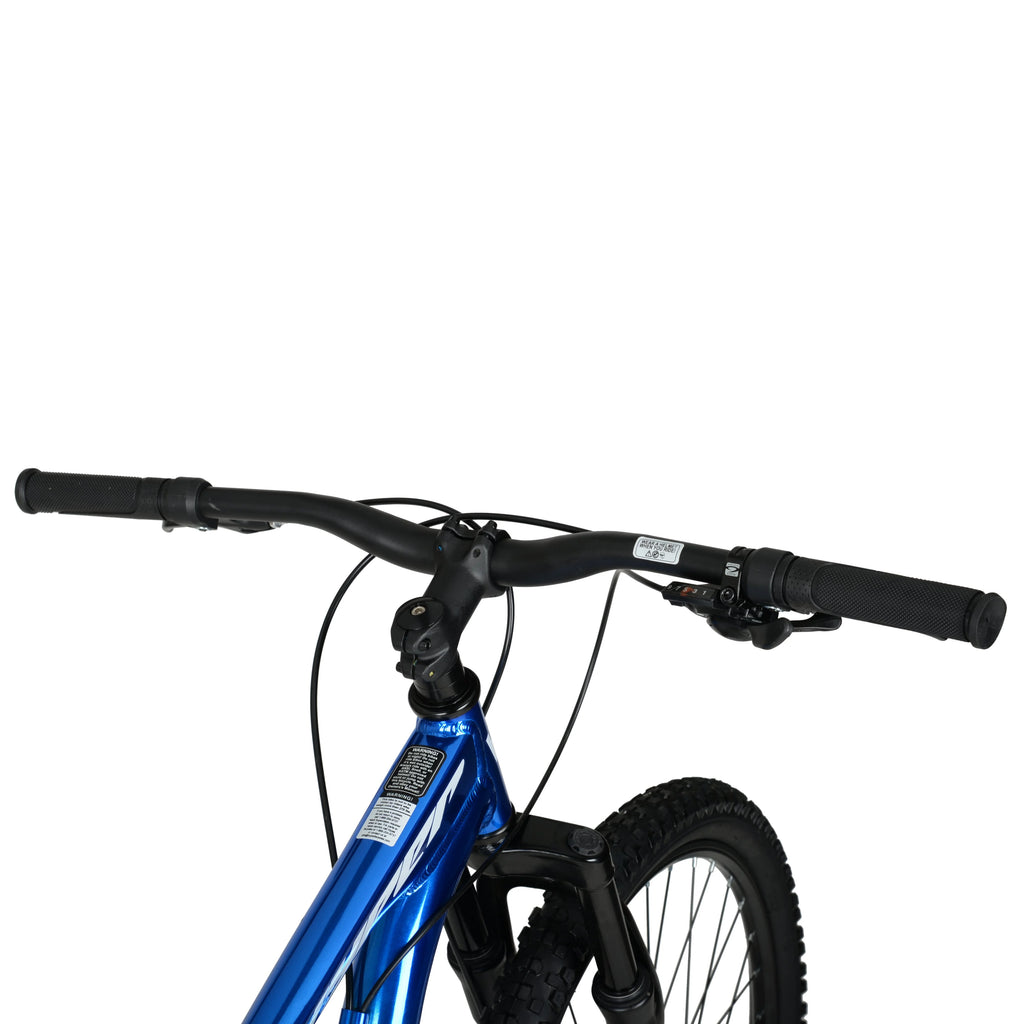 Blue 29 Men's Mountain Bike Q807