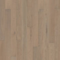 Canvas Oak Reiter H396