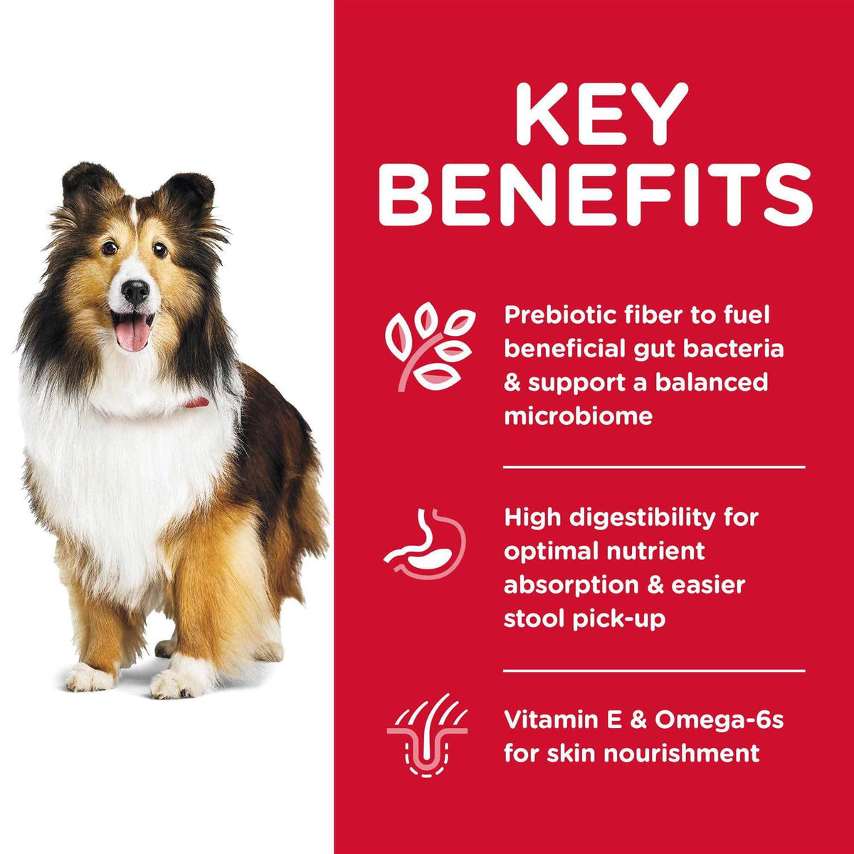 Sensitive Stomach & Skin Dry Dog Food J212