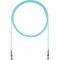 Fiber Optic Network Cable - 61 ft G834890