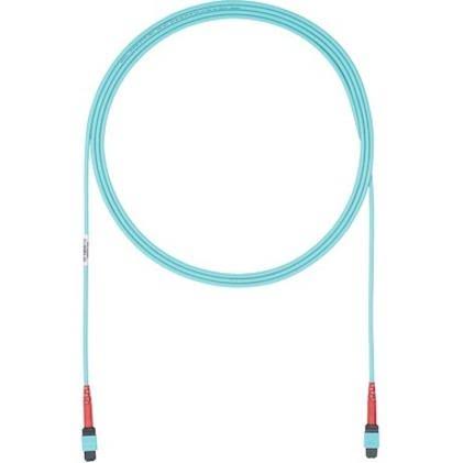 Fiber Optic Network Cable - 61 ft G834890