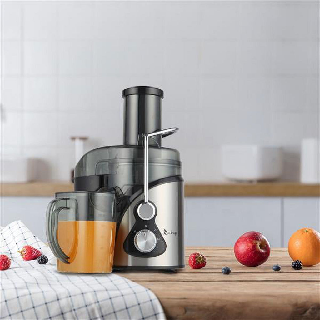 110V 800W Electric Juicer Stainless Steel Black C465967