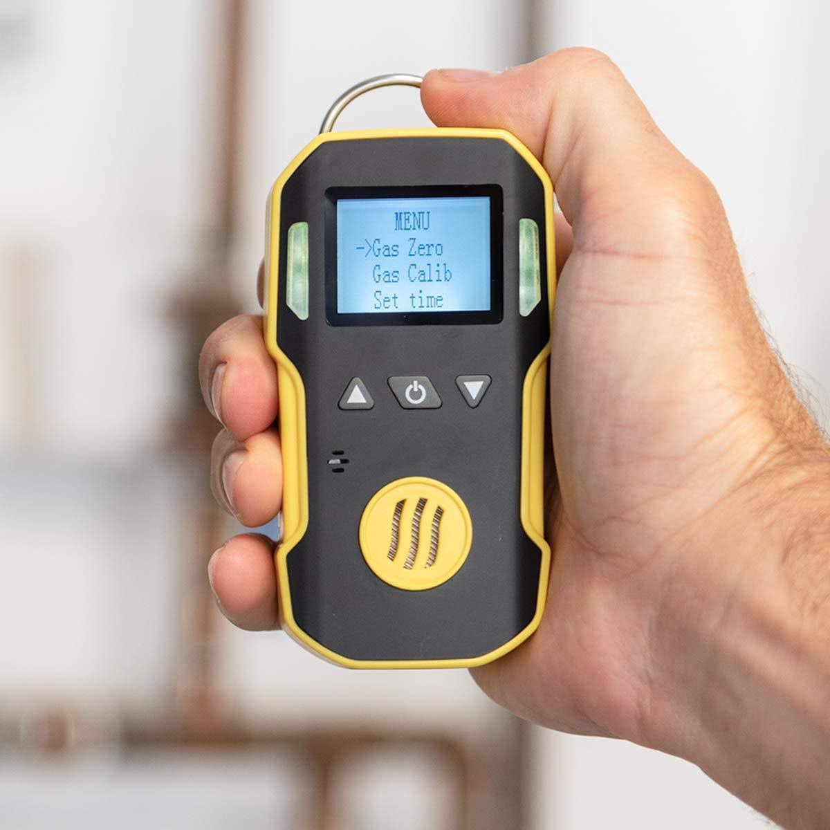Hydrogen Sulfide Meter O250