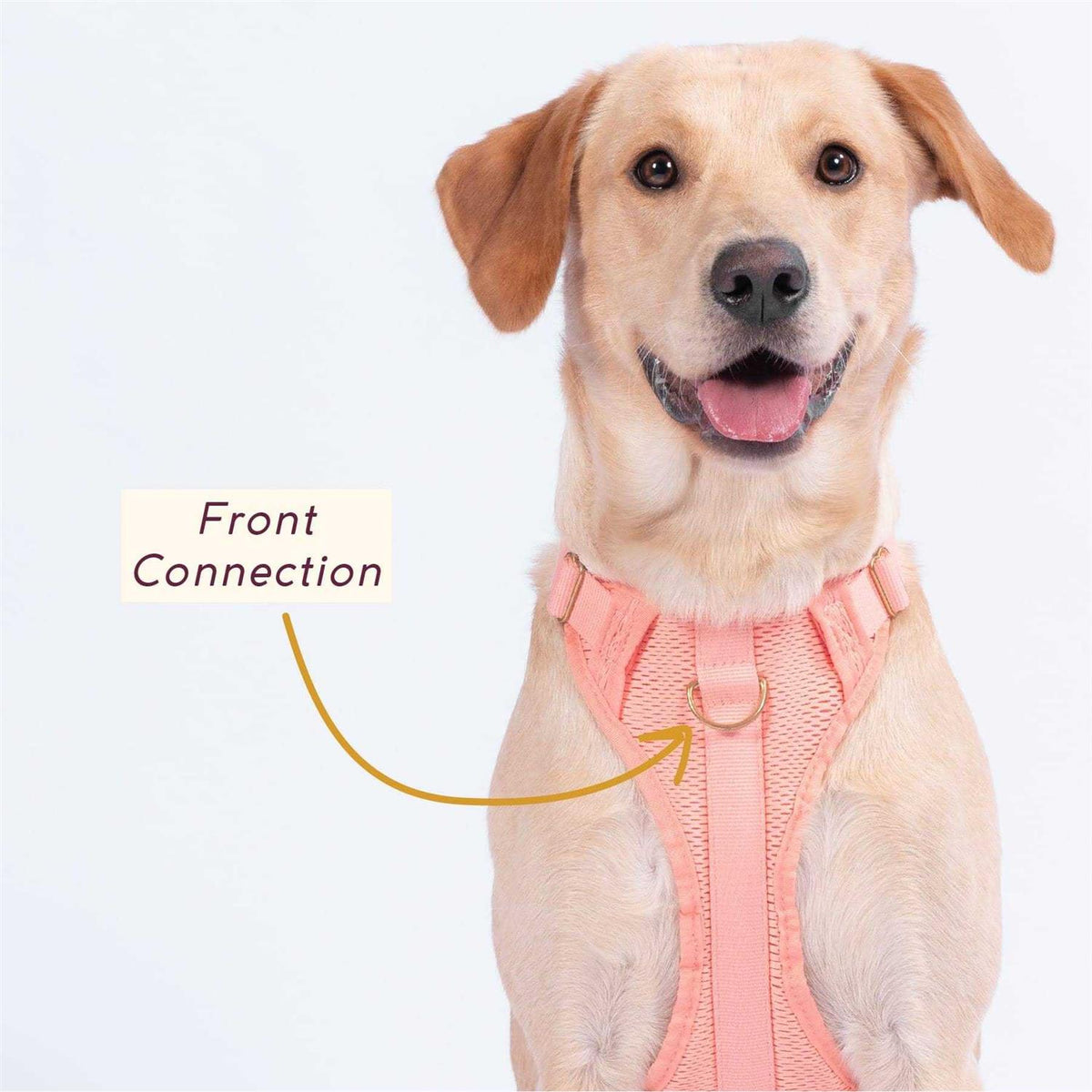 Pet Supplies X32947