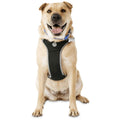Black Dog Harness F74157