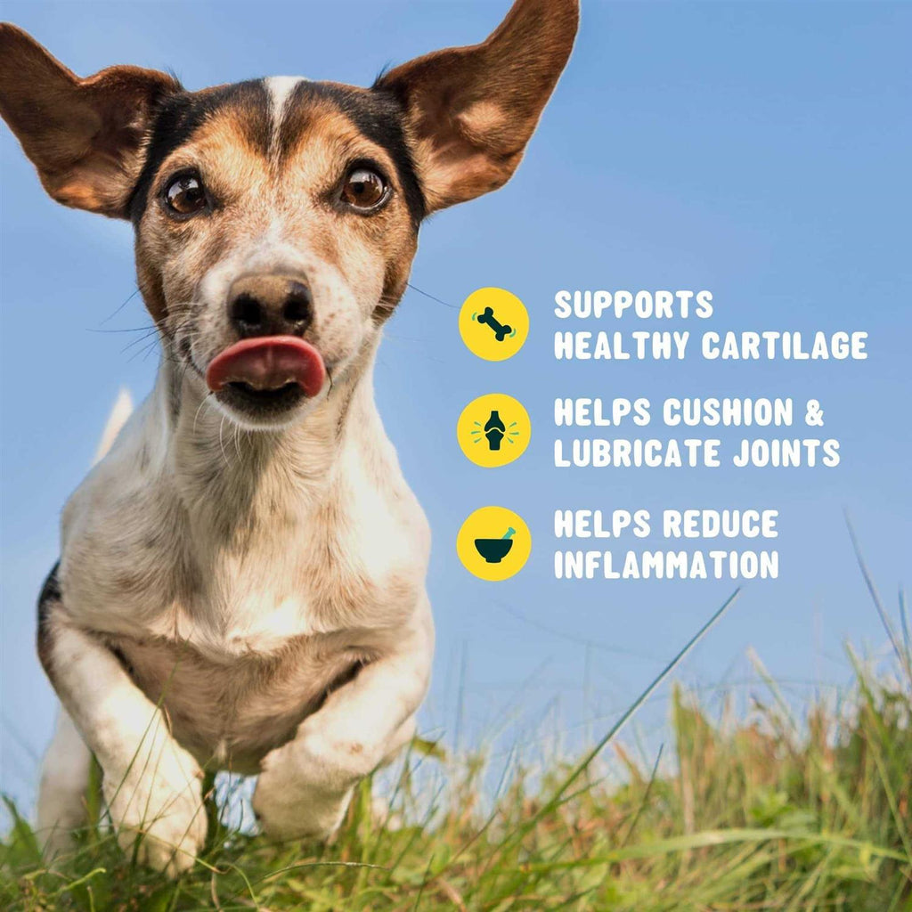 Glucosamine for Dogs Hip and Joint Supplement with Chondroitin Q443