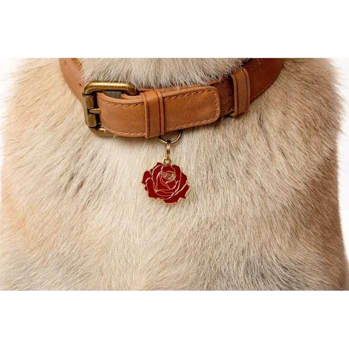 Rose Pet E276