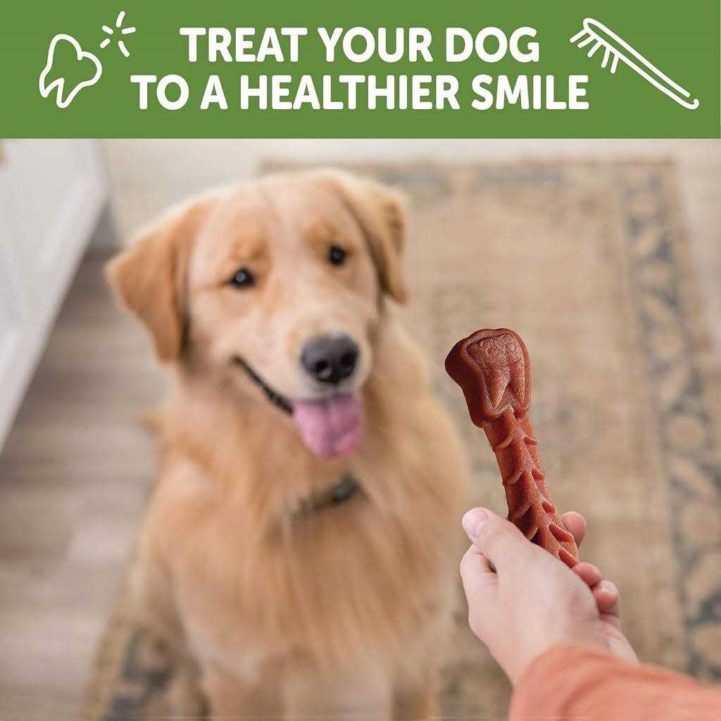 Natural Dental Dog Treats U581