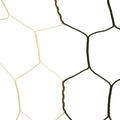 Hexagonal Soccer Net S22994