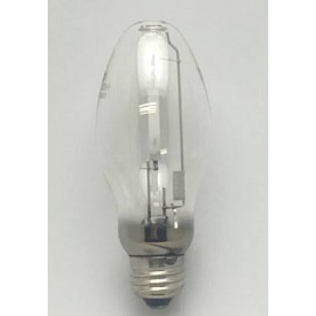 Replacement Bulb 100W Z8098