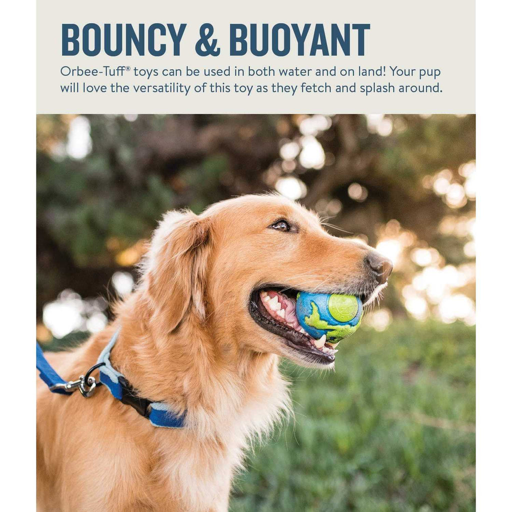 Blue Dog Ball V964143