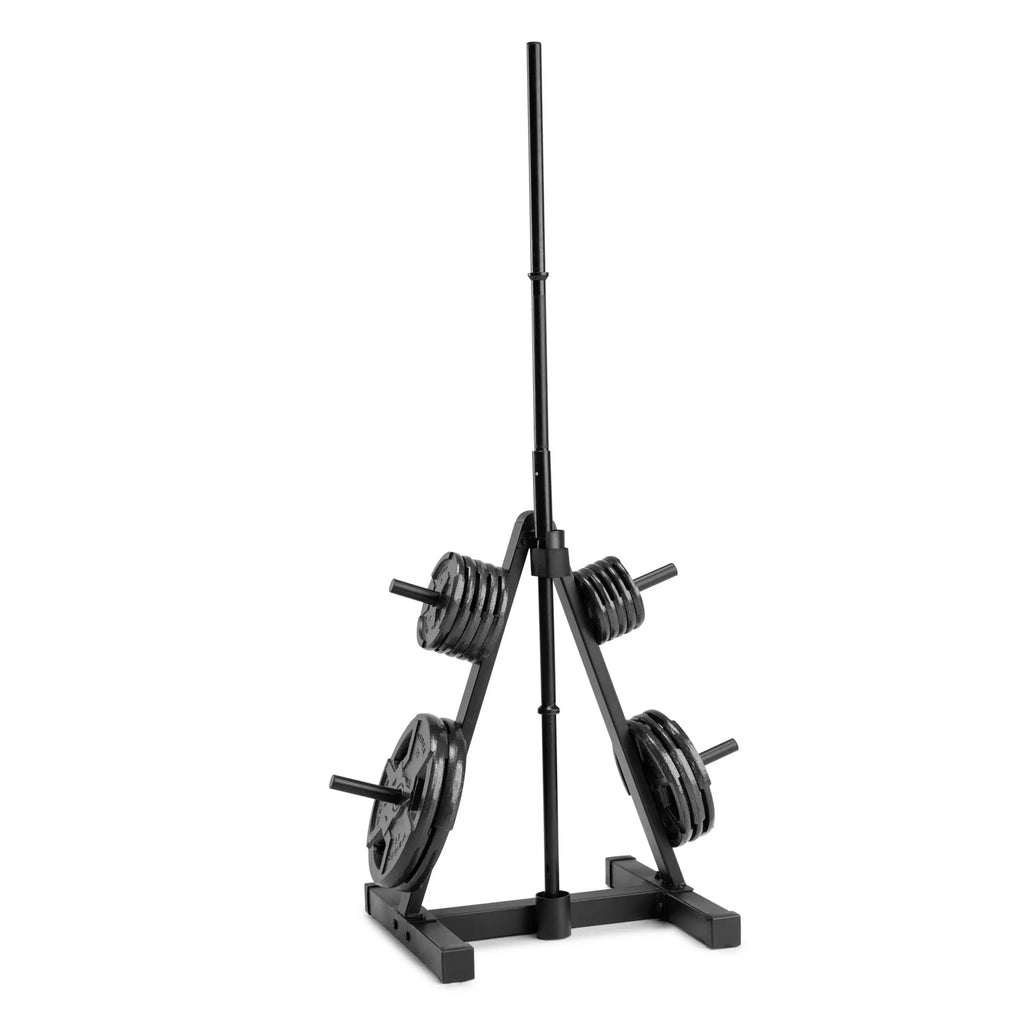 Weight Plate Tree Rack W888288