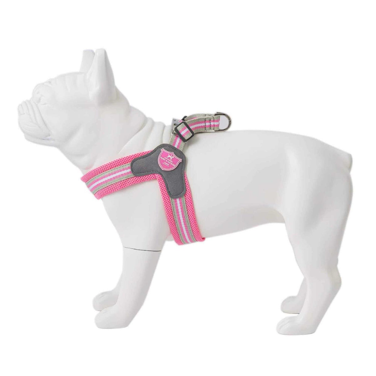 Dog Harness R571