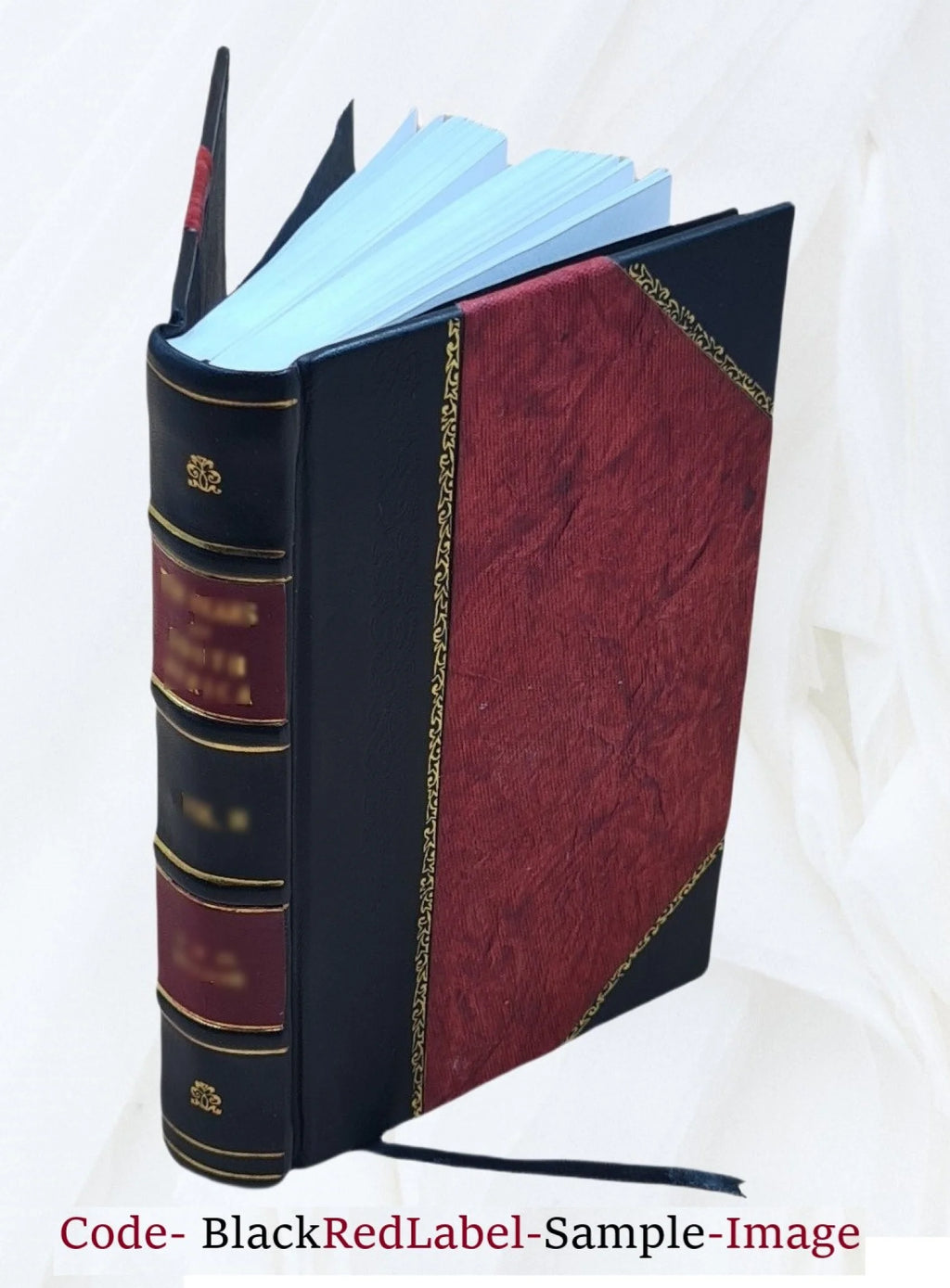 Leather Bound Book Y50819