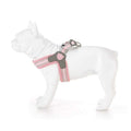 Dog Harness R571